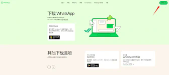 在WhatsApp中，“状态”是什么意思？