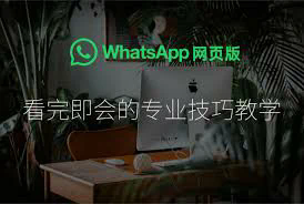 whatsapp有群视频通话功能吗