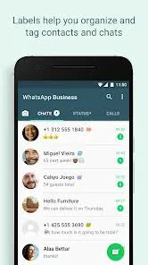 whatsapp business 網頁 版